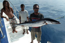 Fishing in the Maldives