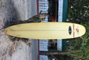 Longboard rental in the Maldives