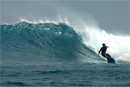 Shortboard rental in the Maldives