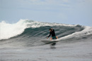 Shortboard rental in the Maldives